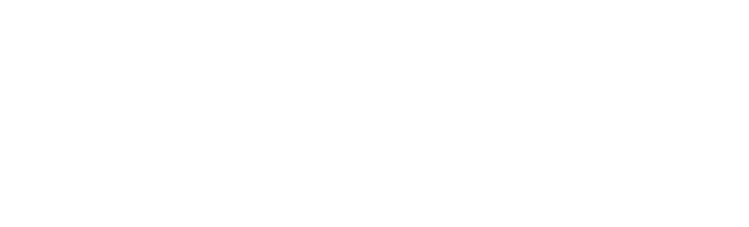 fineconnect
